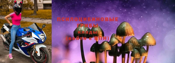 ALPHA-PVP Алексин