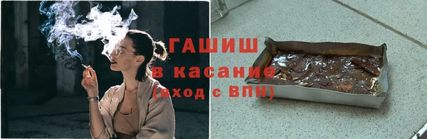 гидра Карпинск