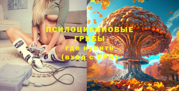 герыч Алзамай