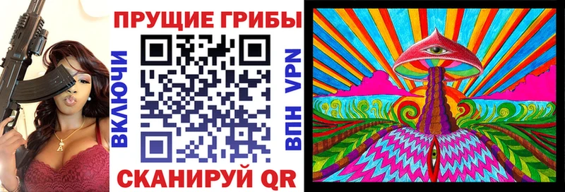 Псилоцибиновые грибы Psilocybe  купить  сайты  Апатиты 